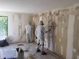 Best Mold Removal for HVAC Installations  in Rocky Point, NY